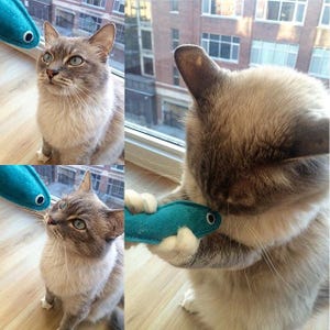Catnip Sardines Organic Catnip Toys Fish Cat Toys Gift For Pet Lover Handmade Cat Gift Gift for Cat Cat Toy image 9