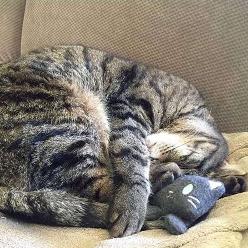 Catnip Kitten Handmade Cat Toy Gift For New Cat Cat Toys Etsy