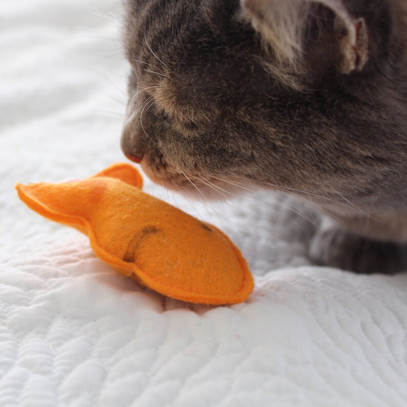 Organic Catnip Toys Cat Toys Goldfish Crackers Catnip Etsy