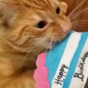 Cat Birthday Bash | Catnip Toys | Organic Catnip Toy | Cat Cake | Catnip Toy