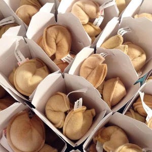 Cat Fortune Cookies Gift for New Cat Catnip Toys Organic Catnip Cat Toys Fortune Cookies Gift For Pet Lover image 8