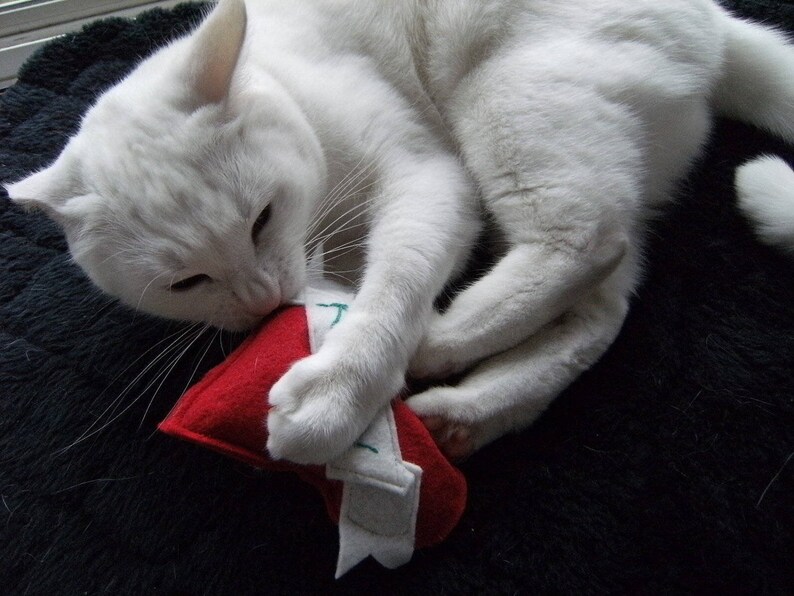 Catnip Heart Cat Toy Catnip Unique Cat Toys Bad Ass Etsy