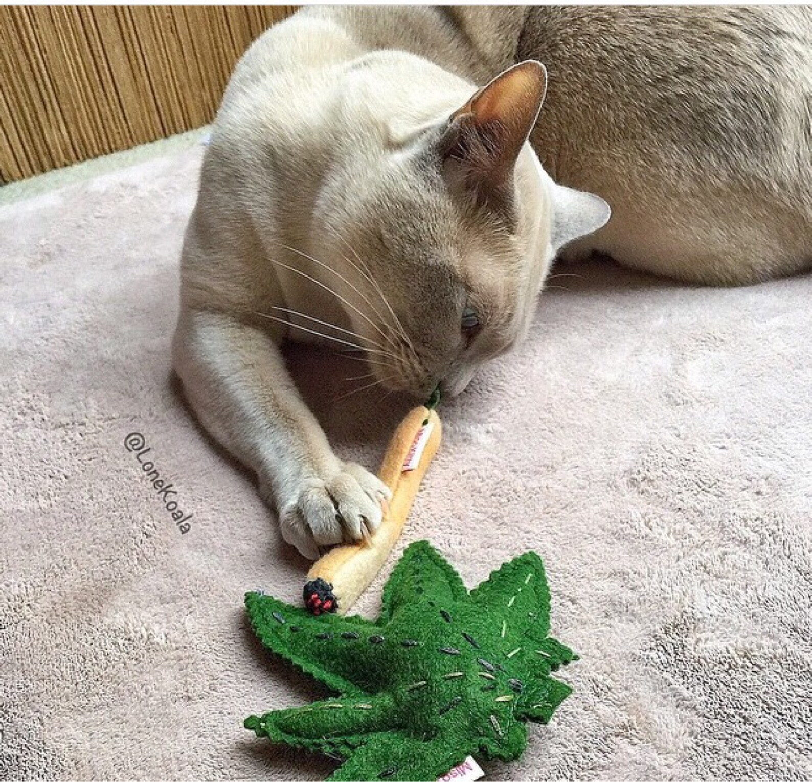 Marijuana Cat Toys Cat Toy Gift for Cats Catnip Joints Etsy