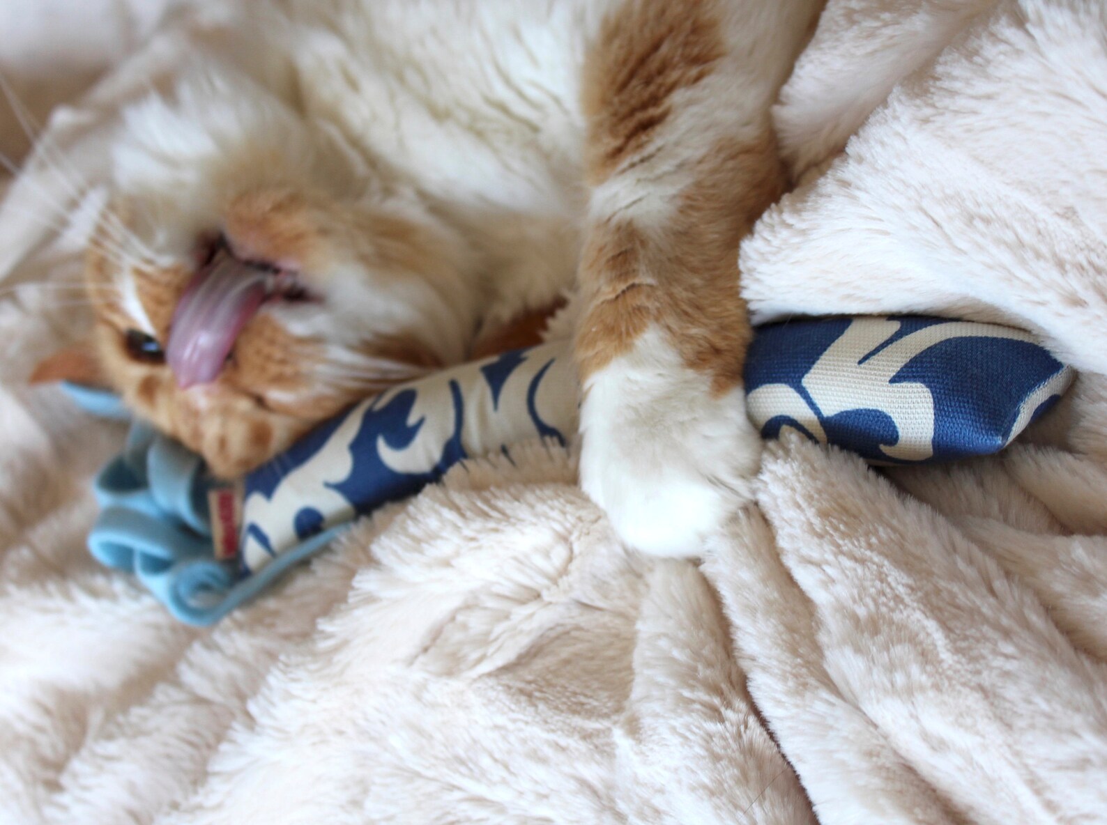 Christmas Cat Toy Bunny Kick Cat Toy Organic Catnip Toy Etsy