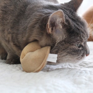 Cat Fortune Cookies Gift for New Cat Catnip Toys Organic Catnip Cat Toys Fortune Cookies Gift For Pet Lover image 4