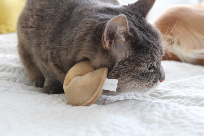 Cat Fortune Cookies Gift for New Cat Catnip Toys Organic Catnip Cat Toys Fortune Cookies Gift For Pet Lover image 4