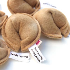 Cat Fortune Cookies Gift for New Cat Catnip Toys Organic Catnip Cat Toys Fortune Cookies Gift For Pet Lover image 7