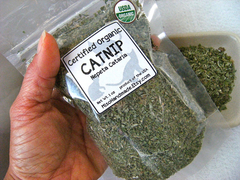Organic Catnip DIY Cat Toys Bulk Catnip Organic Herbs Etsy