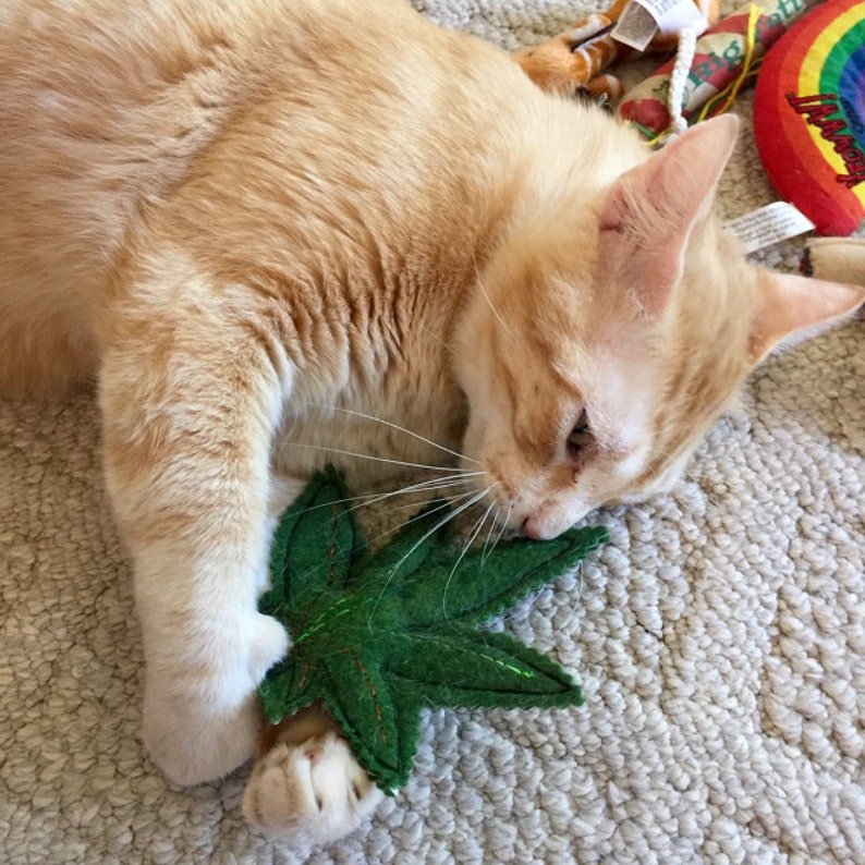 Marijuana Cat Toys Cat Toy Gift for Cats Catnip Joints Etsy