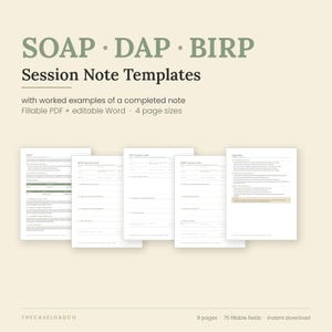 SOAP DAP BIRP Session Note Templates | Therapist Progress Notes with Worked Examples | Fillable Pdf + Word | Us Letter A4 A5 iPad