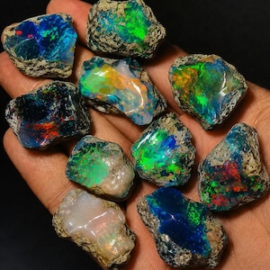 May include: A collection of ten raw, unpolished opal stones featuring vibrant flashes of blue, green, orange, and red color play. Each stone displays a rough, textured matrix exterior with polished, iridescent surfaces showing internal light reflections.