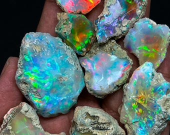 May include: A collection of raw, unpolished opal stones featuring vibrant flashes of iridescent color including neon green, electric blue, fiery orange, and bright red against a natural, textured, light-colored rocky matrix base.