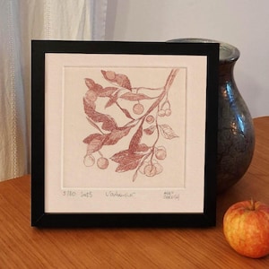 The Arbutus – Original Etching | Limited Edition