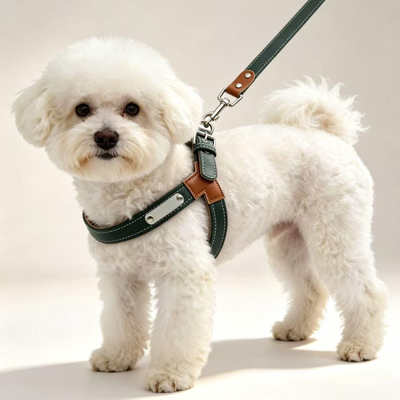 Burberry dog harness - Etsy 日本