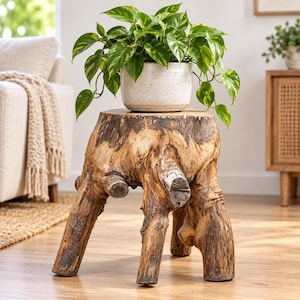 Può includere: Uno sgabello ricavato da un ceppo di legno naturale con un esterno in corteccia ruvida e strutturata e una superficie superiore piatta e liscia. Un vaso in ceramica bianca maculata con una pianta pothos variegata verde e gialla è posato sopra.