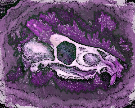 amethyst geode dragon skull