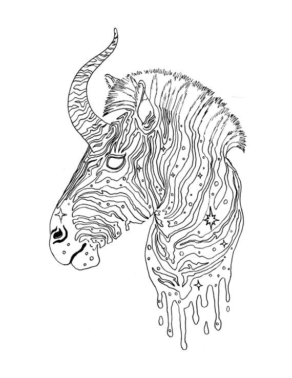 Zebra Unicorn Coloring Pages | Let's Coloring The World