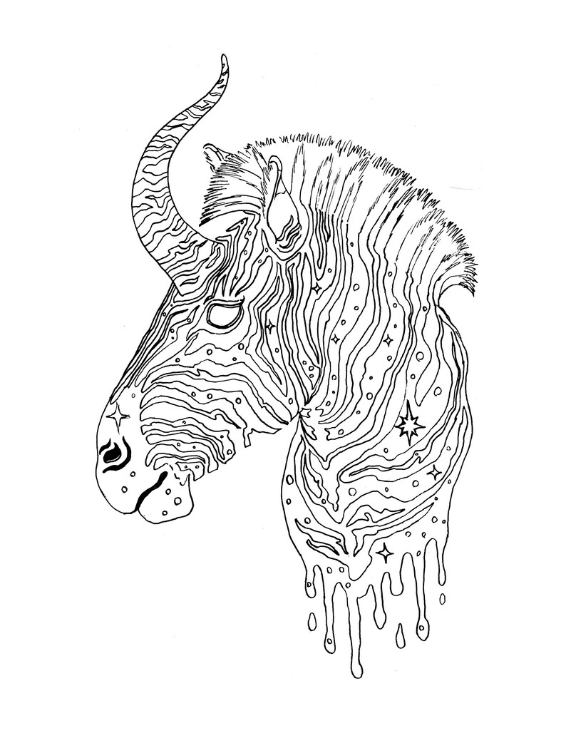 44 Zebra Unicorn Coloring Pages  Images