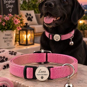 Personalized Dog Collars & Custom Pet Accessories | Engraved Dog Tags, Puppy Collars  Personalized Pet Gifts