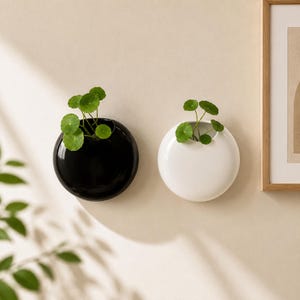 Puede incluir: Dos maceteros circulares de pared, uno con acabado negro brillante y otro con acabado blanco brillante. Cada macetero presenta una pequeña abertura en la parte superior que contiene una planta verde con hojas redondas.