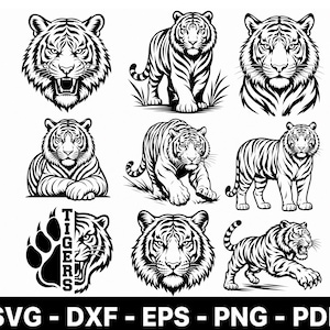 Puede incluir: Una colección de nueve ilustraciones de tigres en blanco y negro con varias poses, incluyendo cabezas rugiendo, tigres de pie y una huella de pata con el texto vertical TIGERS. La parte inferior incluye el texto SVG - DXF - EPS - PNG - PDF.