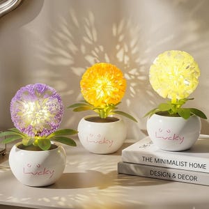 Puede incluir: Tres pequeñas macetas redondas de cerámica blanca, cada una con la palabra Lucky escrita en rosa, contienen luces LED esféricas en forma de flor en colores morado, amarillo y blanco, con hojas verdes en la base de cada lámpara.