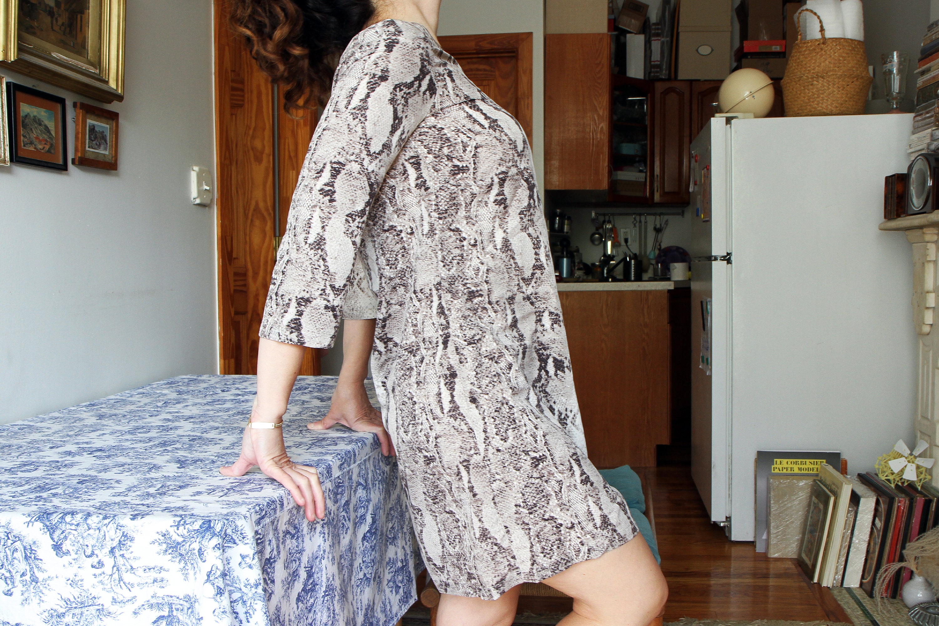 sachin and babi light blue dress Snakeskin Print Chiffon Dress Size S, Animal Python Snake Print, Above The Knee Dress, Autumn Fall Casual Dress, Lightweight Tunic Dress