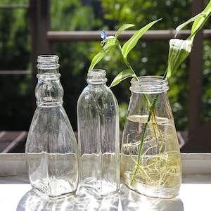 Lot Of 3 Antique Clear Glass Bottles, Found In New York USA, Minimalist Glass Bottle Collection, Duraglas Glass Bottle, Antique Embossed Jar