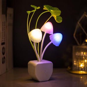 May include: A white square base lamp featuring three glowing mushroom-shaped lights in warm white, soft pink, and cool blue, accompanied by green leaf-shaped stems extending upwards from the center of the base with a power button on the front.