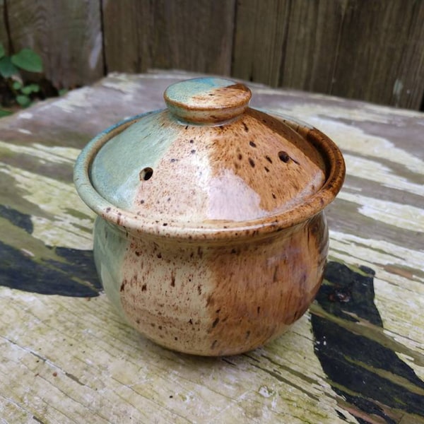 Récipient en poterie avec couvercle, grand pot de sel à l'ail et au gingembre