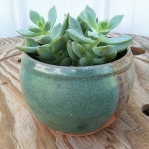 Succulent Planter, Pottery Planter, Pottery Cup