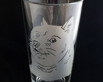 Doge Shiba Inu Much So Beer etched Pint glass  Dog Meme