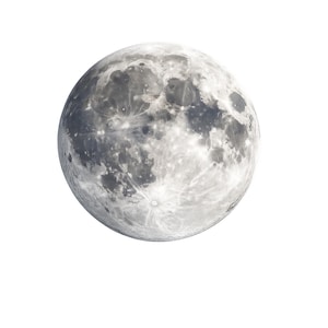 May include: A spherical celestial body representing the moon, featuring a detailed surface with various shades of gray, white, and charcoal. The texture displays numerous craters, lunar maria, and bright rays extending from impact points.