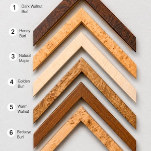 Op de afbeelding: Zes V-vormige houten hoekmonsters voor fotolijsten, verticaal gerangschikt. De labels bevatten 1 Dark Walnut Burl, 2 Honey Burl, 3 Natural Maple, 4 Golden Burl, 5 Warm Walnut en 6 Birdseye Burl, die verschillende houtnerven tonen.