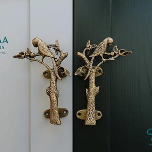 May include: Two brass door handles shaped like a parrot perched on a tree branch. Each handle features a textured trunk and detailed bird figure with mounting plates at the top and bottom. The handles are mounted on white and dark green panels.