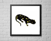 salamander art print, ani...