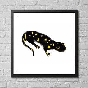salamander art print, animal wall art, endangered species illustration, nature decor, black yellow wall art &quot;California Tiger Salamander&quot;