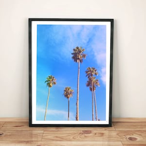 palm tree photography, beach art print, palm tree wall art, palm tree canvas print, tree photography print, beach decor,  &quot;five palms&quot;