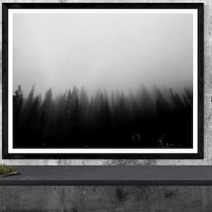 forest photography print,  black and white nature art print, minimal woods landscape photo, black & white tree art &quot;foggy enchanted forest&quot;
