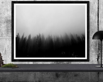 forest photography print,  black and white nature art print, minimal woods landscape photo, black & white tree art "foggy enchanted forest"