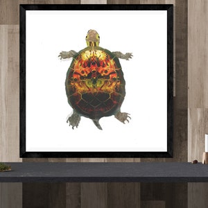 turtle art print, animal illustration print,  endangered species art print, green brown large square wall art  &quot;Pacific Pond Turtle&quot;