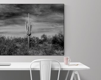 cactus photography print, black and white nature art print, minimal desert landscape print, black and white home decor   "lone saguaro"