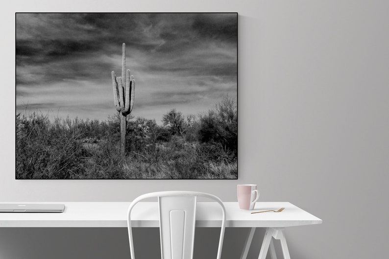 Cactus Photography Print Black and White Nature Art Print - Etsy