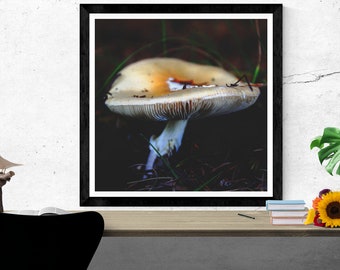 mushroom photography print, botanical wall art, forest woods wall art, cottagecore decor, mushroom canvas print "russula mushroom"