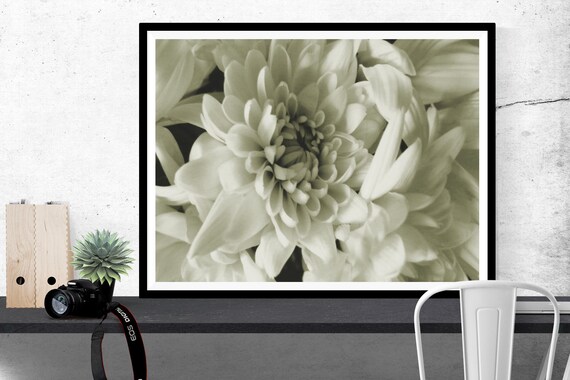 Home Decor Nature Photography Macro Photography Photography Gifts Botanical Prints Flower Photography Floral Prints Large Wall Art