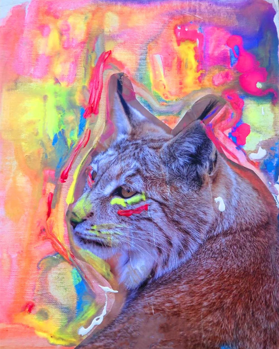 Psychedelic Collage Art, Lynx Cat Wall Art, Psychedelic Trippy Poster