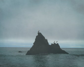 ocean photography print, seabirds art print, blue wall art, seascape print, beach decor, pelican art print, beach canvas "Pelican Rock"