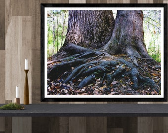 tree photography print, woods forest art print, canvas tree print, romantic gift, love art print, brown green large wall art "tangled roots"