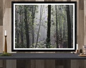 forest photography print,...