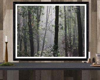 impressão de fotografia de floresta, arte de parede de árvores, impressão de paisagem de floresta, impressão de arte da natureza, impressão em tela de floresta, arte de parede verde "floresta verde enevoada"